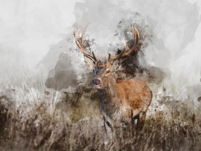 Ljuddämpande tavla - A deer painted with 3d