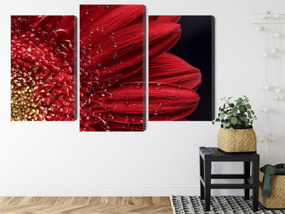 Ljuddämpande tavla - Flower petals on a macro