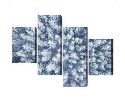 Ljuddämpande tavla - Aerial view of the winter