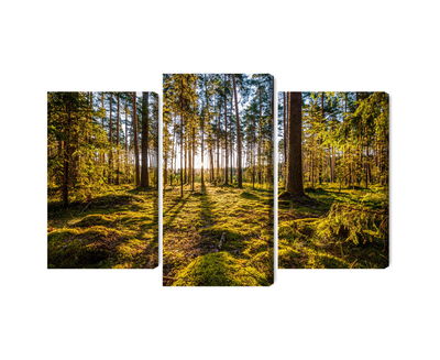 Ljuddämpande tavla - 3d sunny forest landscape