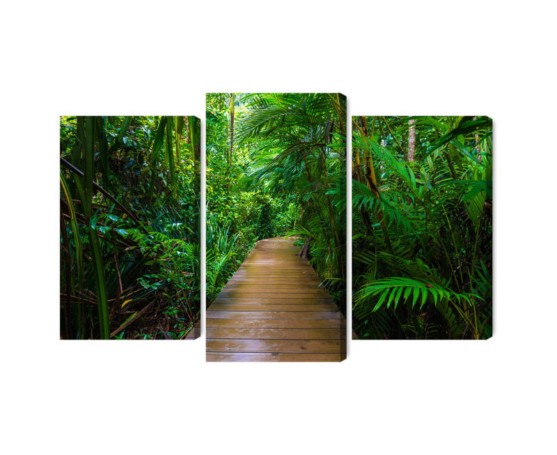 Ljuddämpande tavla - Wooden bridge in a tropical