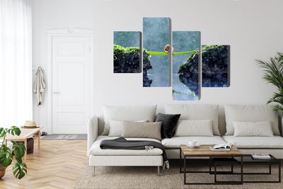 Ljuddämpande tavla - Snail in the rain