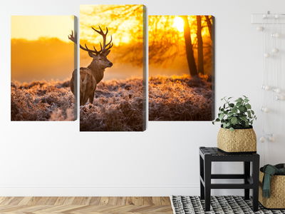 Ljuddämpande tavla - Deer in the forest at sunset