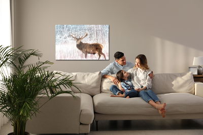 Ljuddämpande tavla - Deer on an abstract