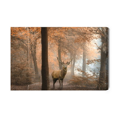Ljuddämpande tavla - Deer in the autumn forest
