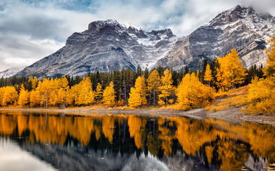 Ljuddämpande tavla - Banff national park in Canada