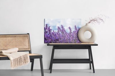 Ljuddämpande tavla - Lavender against the sky