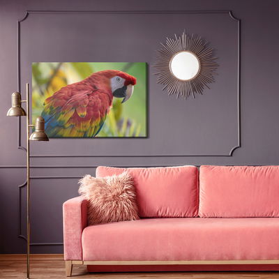 Ljuddämpande tavla - Ara parrot