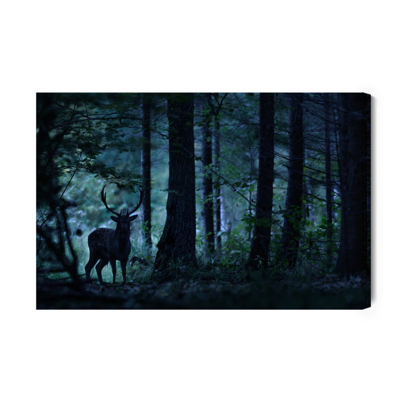 Ljuddämpande tavla - A deer in a dark forest