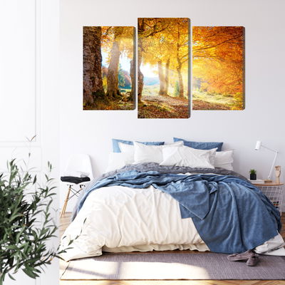Ljuddämpande tavla - Sunny autumn forest