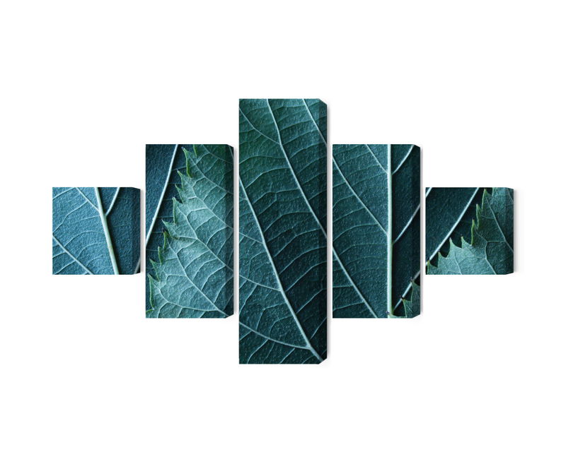 Ljuddämpande tavla - Leaves in a macro scale