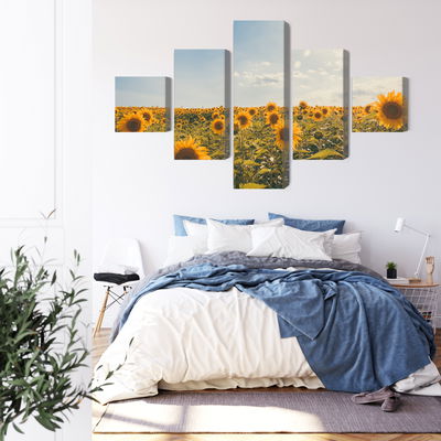 Ljuddämpande tavla - Sunflower field on a summer