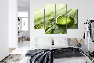 Ljuddämpande tavla - Water drops on a leaf