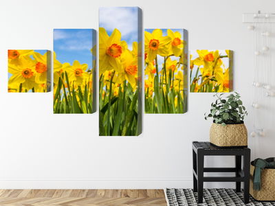 Ljuddämpande tavla - Daffodil field 3d