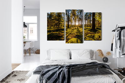 Ljuddämpande tavla - Morning sun rays