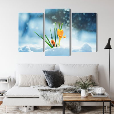 Ljuddämpande tavla - Yellow crocuses breaking