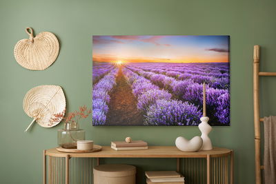 Ljuddämpande tavla - Lavender at sunset