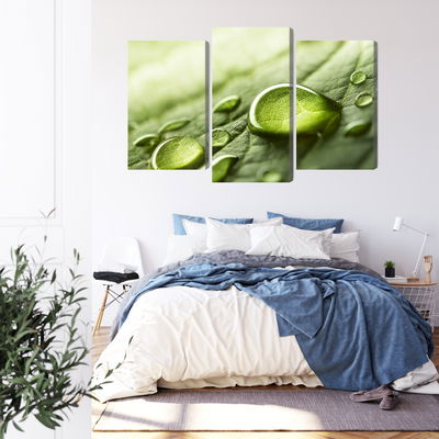 Ljuddämpande tavla - Water drops on a leaf