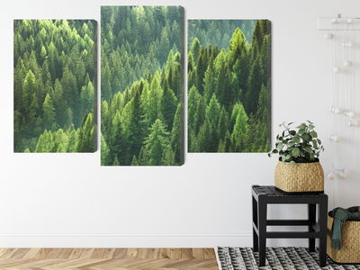 Ljuddämpande tavla - The green of the forest