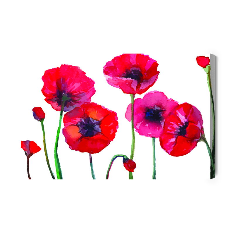 Ljuddämpande tavla - Beautiful watercolor poppies