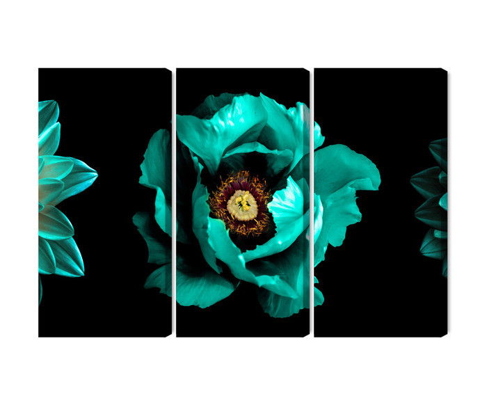 Ljuddämpande tavla - Turquoise flowers on a black