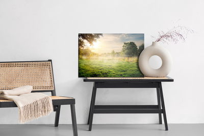 Ljuddämpande tavla - A forest clearing