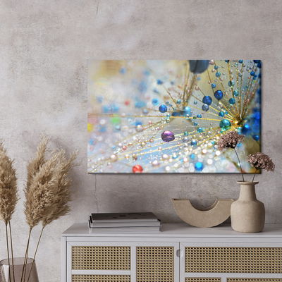 Ljuddämpande tavla - Dandelion, colorful drops