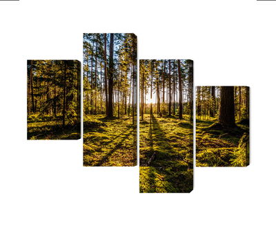 Ljuddämpande tavla - Morning sun rays