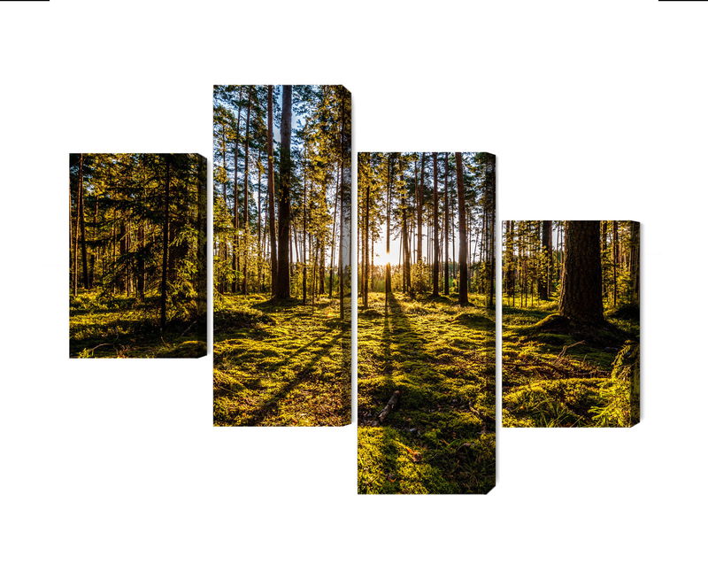 Ljuddämpande tavla - Morning sun rays