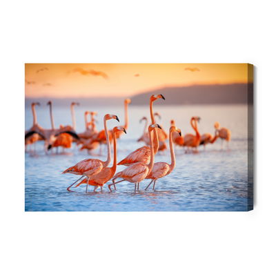 Ljuddämpande tavla - Flamingos birds