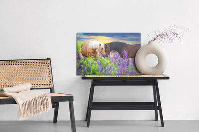 Ljuddämpande tavla - Horses in love with flowers