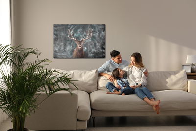 Ljuddämpande tavla - Deer in the middle