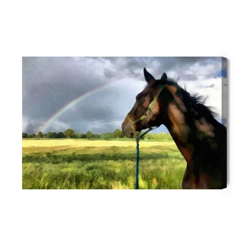 Ljuddämpande tavla - Horse in the meadow