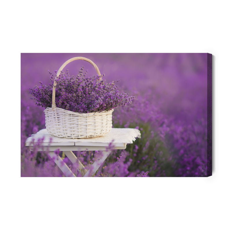 Ljuddämpande tavla - Wicker basket with lavender