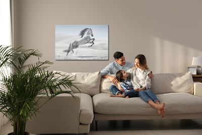 Ljuddämpande tavla - Horse in the desert