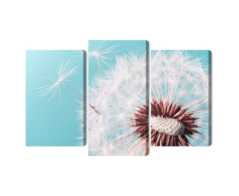 Ljuddämpande tavla - Dandelion flower on a macro
