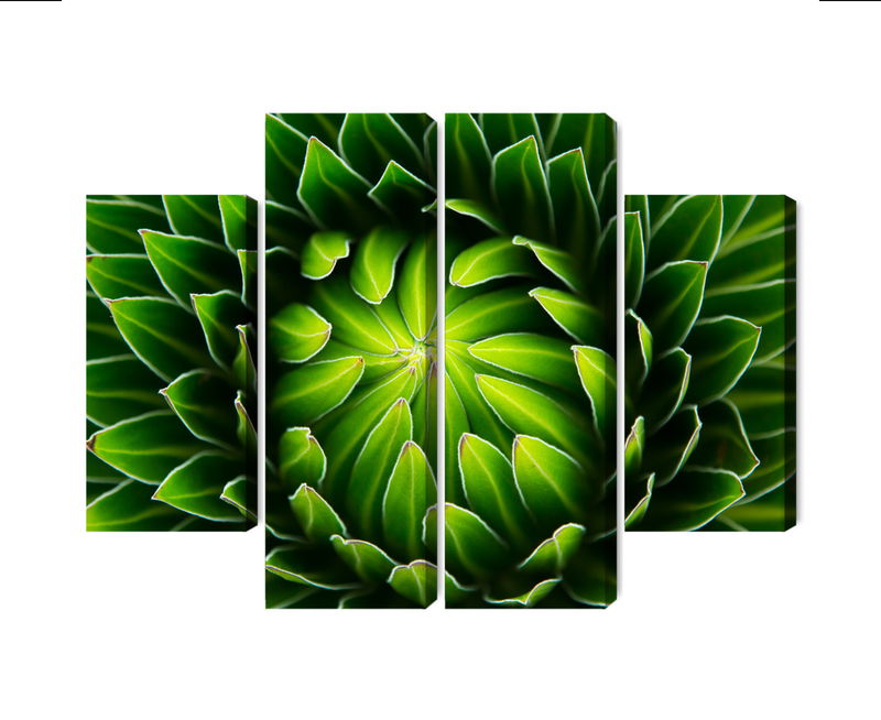 Ljuddämpande tavla - Green plant on a macro scale