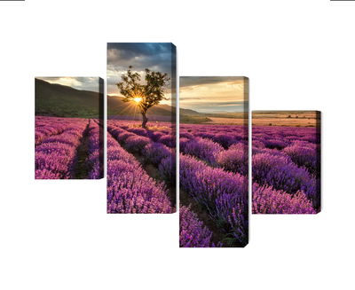Ljuddämpande tavla - Lavender field at sunset 3d