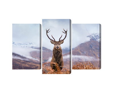 Ljuddämpande tavla - A deer on a background