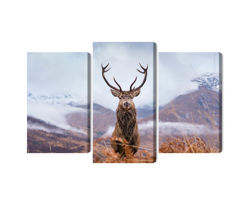 Ljuddämpande tavla - A deer on a background