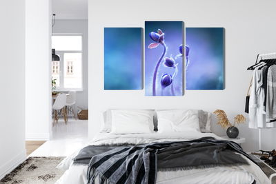 Ljuddämpande tavla - Delicate flowers on a macro