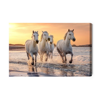 Ljuddämpande tavla - Horses by the mediterranean