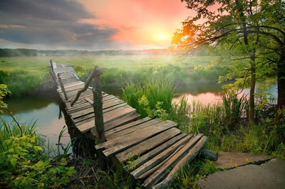 Ljuddämpande tavla - Meadow at dawn