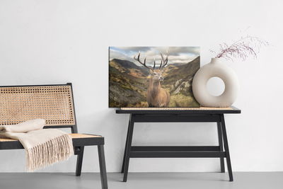Ljuddämpande tavla - Deer on the background