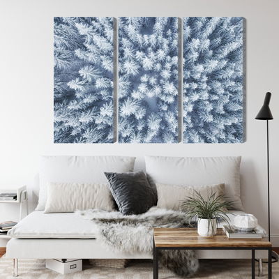 Ljuddämpande tavla - Aerial view of the winter