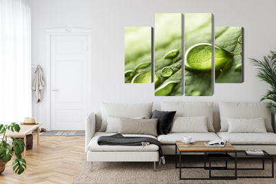 Ljuddämpande tavla - Water drops on a leaf