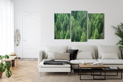 Ljuddämpande tavla - 3d green forest view