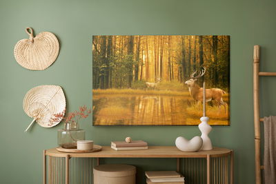 Ljuddämpande tavla - A deer by the lake