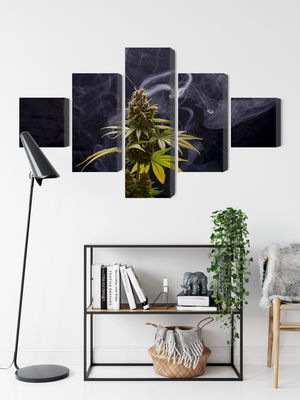 Ljuddämpande tavla - Cannabis plant on a smoky