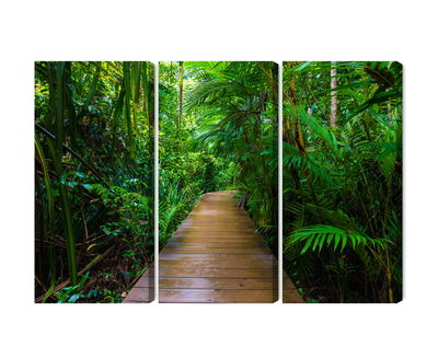 Ljuddämpande tavla - Wooden bridge in a tropical